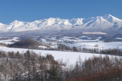 純白の十勝岳連峰