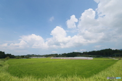 白と青と緑