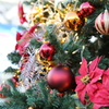 Merry...