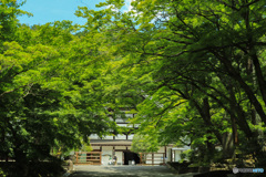 南禅寺₁