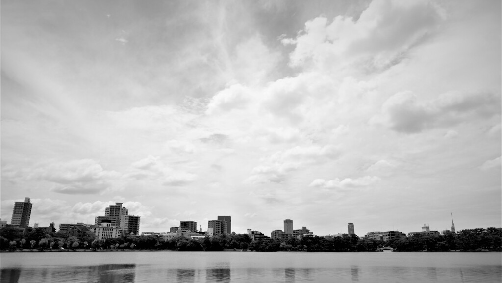 真夏の大濠公園