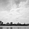 真夏の大濠公園