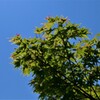 L1001276 (2)