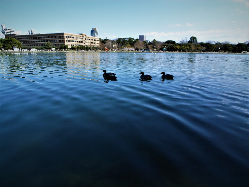 大濠公園