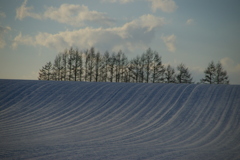 雪景色