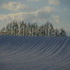 雪景色
