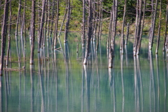 青い池