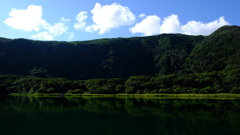 三宅島 大路池