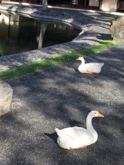 岡野聖史と・・・