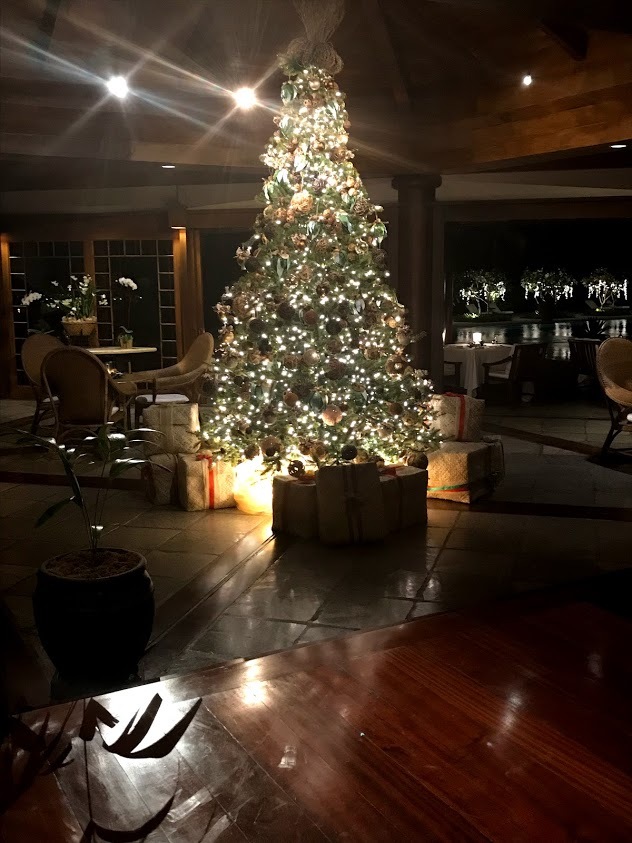 岡野聖史と早めのクリスマスツリー
