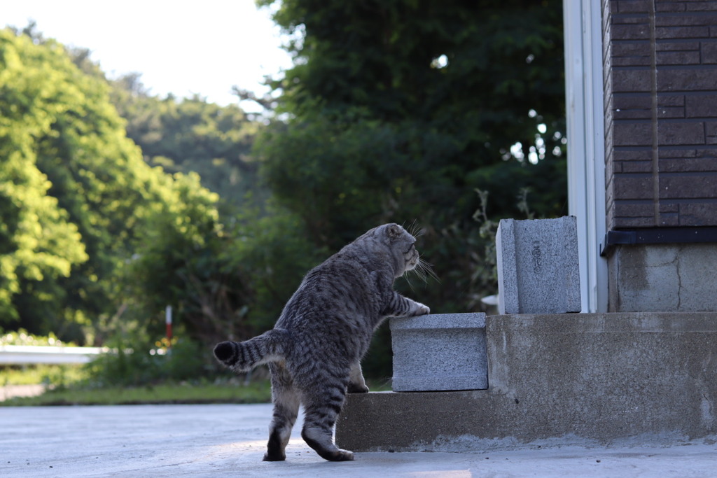 登る