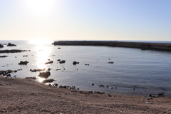 海岸
