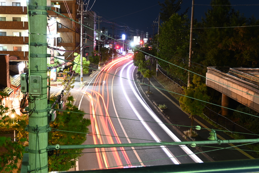 福井市運動公園付近