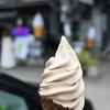 山猫のソフトクリーム