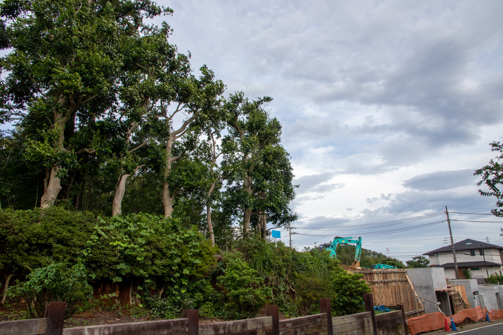 緑地と住宅開発