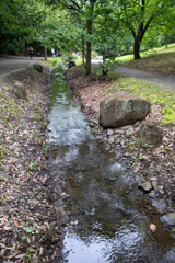 小川のある散歩道