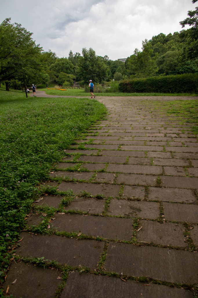 石畳のある緑豊かな公園