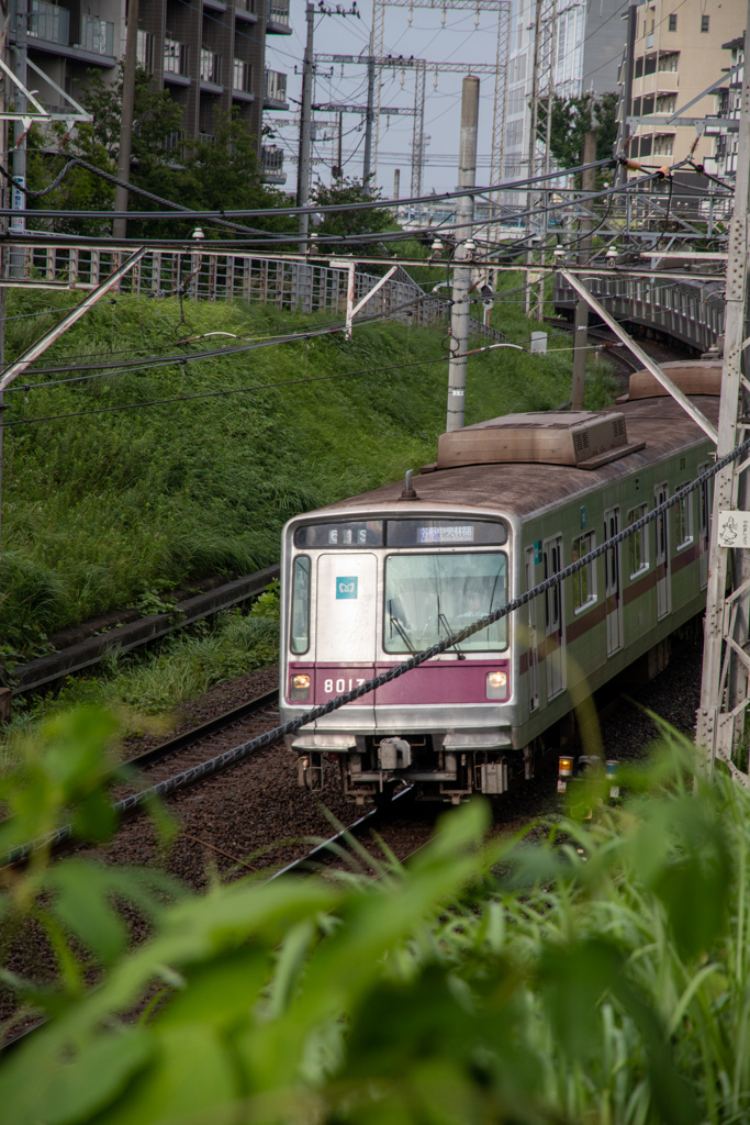 田園都市を走る