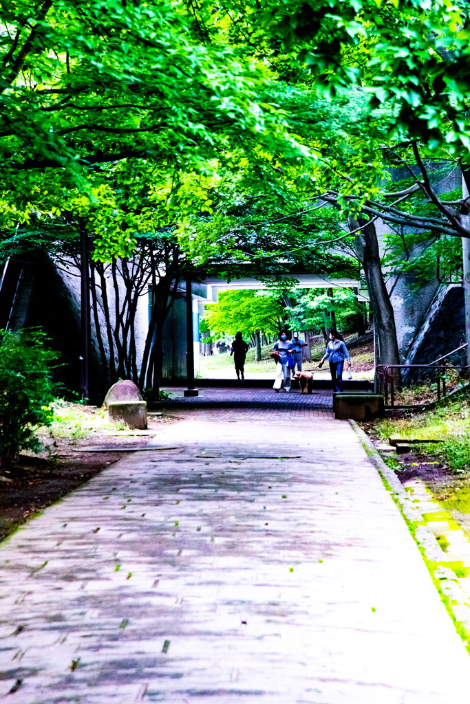 公園に向かう遊歩道