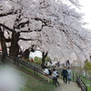 ４月９日
