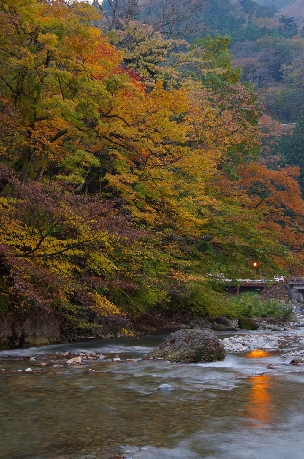 無題（紅葉）