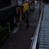 kanagawa,2018