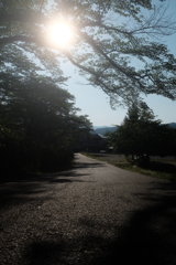 yamagata,2020