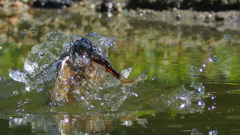 氷の彫刻　　　ボーグにて