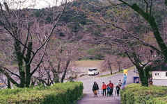 家族で賑わう宝登山
