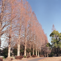 青と赤茶の風景