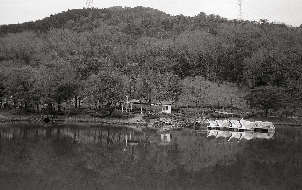 Minolta HI-MATIC E 試写Ⅸ