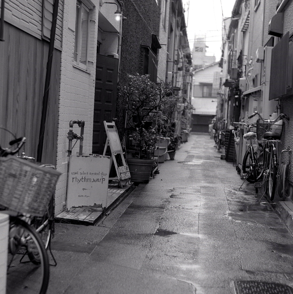 小雨の路地裏