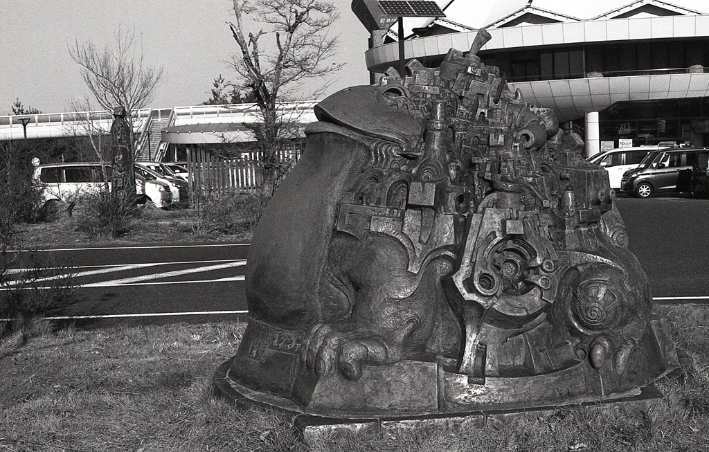 大蛙の顔が見えましたね。（笑