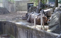 あららっ…失礼！