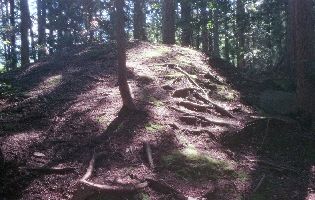 厳かな古墳
