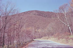 高峰山と林道