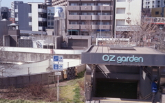 OZ garden