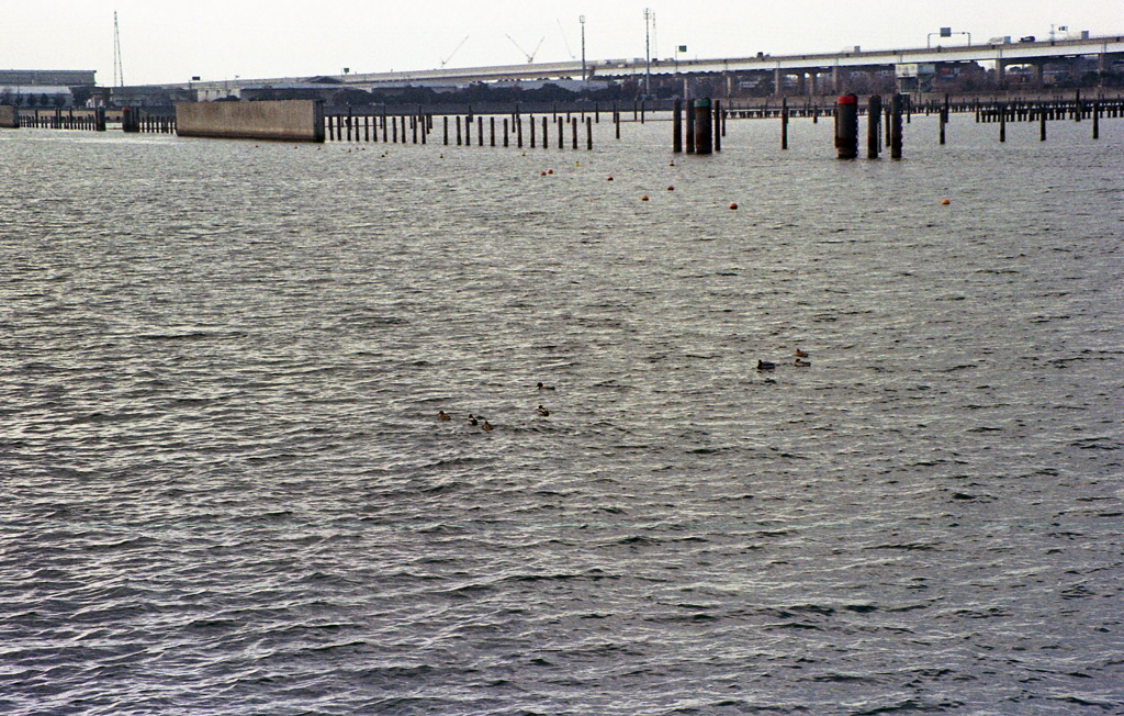 埠頭を横切る湾岸道路