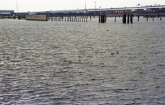 埠頭を横切る湾岸道路