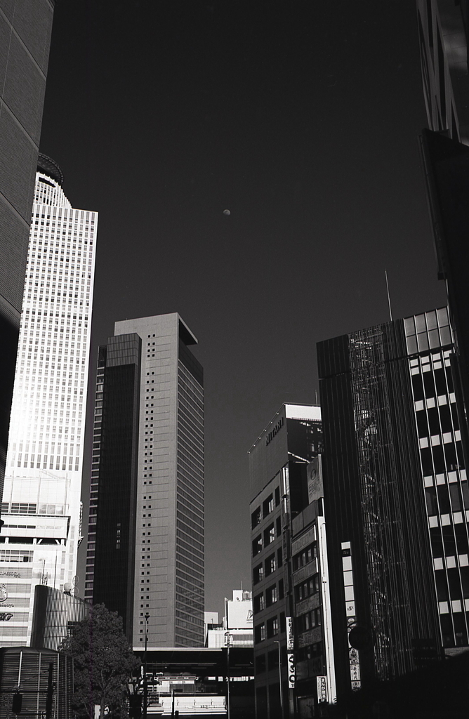 ビルの廻間にお月さん