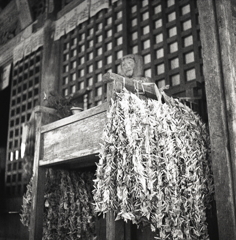 賓頭盧の千羽鶴