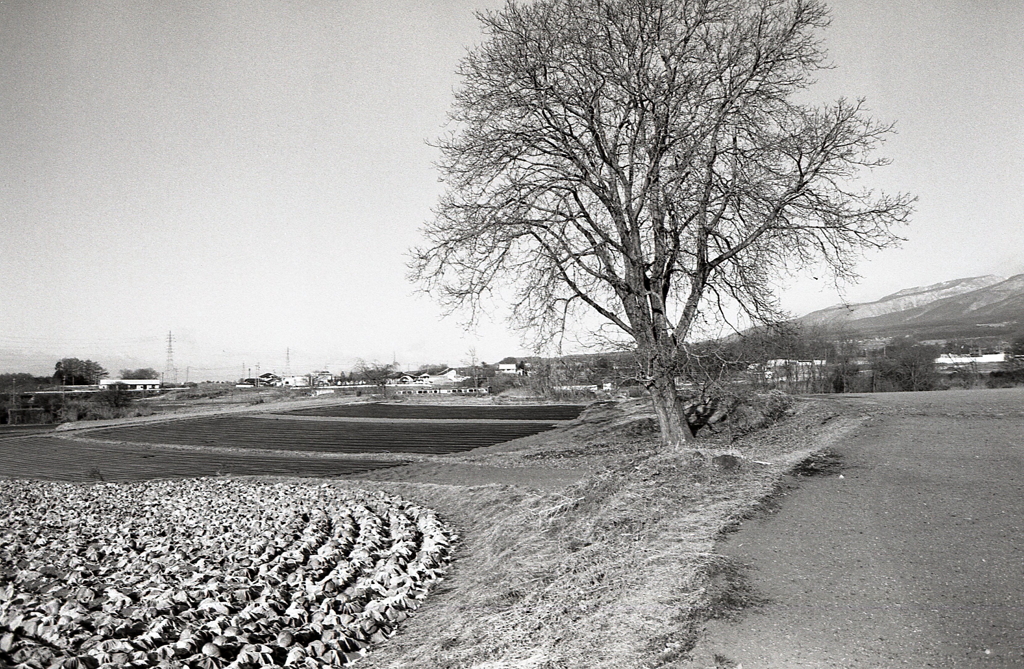 御代田の冬景色