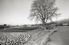 御代田の冬景色