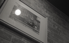 ズーム撮影で壁の絵画　～MINOLTA APEX 105試写