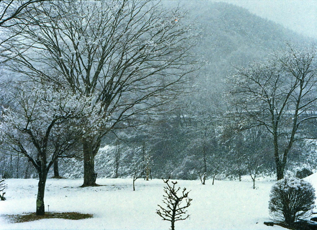 雪降る山間