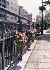 堀川の花飾りⅡ