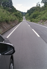 まだまだ続く牛の道…(笑 まだまだ続く牛の道…(笑