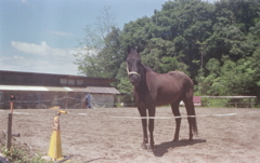 カラーで比較画像