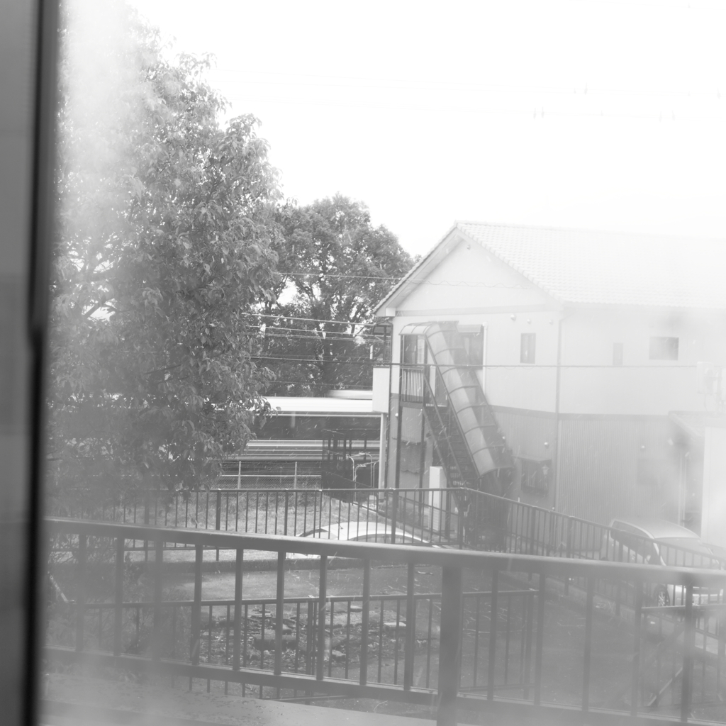 昼過ぎから雪が降ってきたよ。