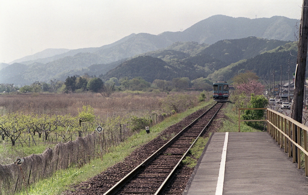 山々に吸い込まれる樽見鉄道